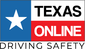 Texas Driving Safety logo